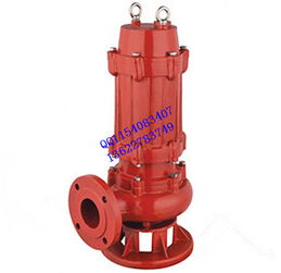 耐高温潜水泵 65WQR30 50 11kw立式无堵塞高温排污泵价格 厂家 图片