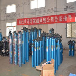 QJX系列下吸泵生产厂家价格 QJX系列下吸泵生产厂家型号规格